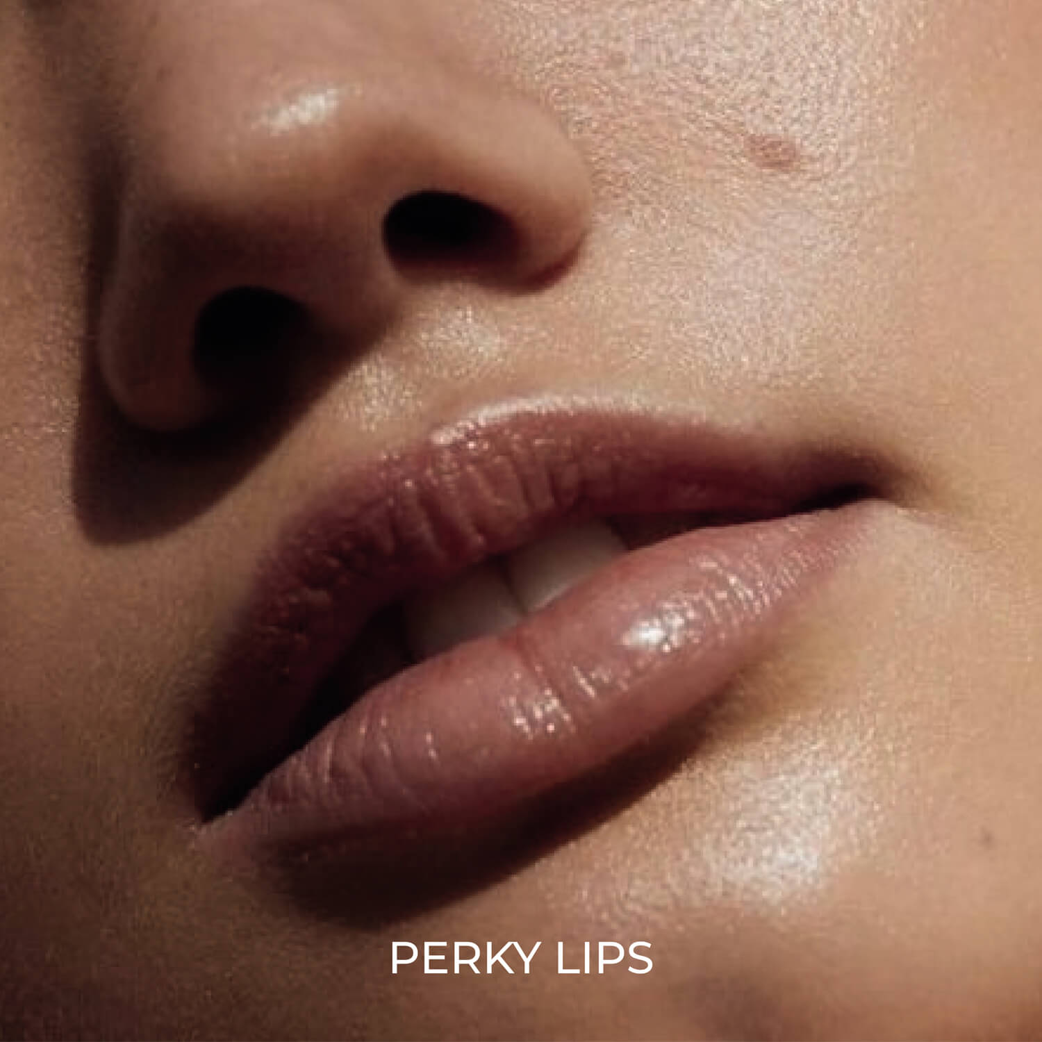 Aille Signature Facials - Perky Lips